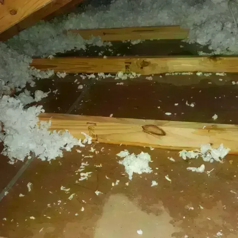 Attic Water Damage in Ahuimanu, HI